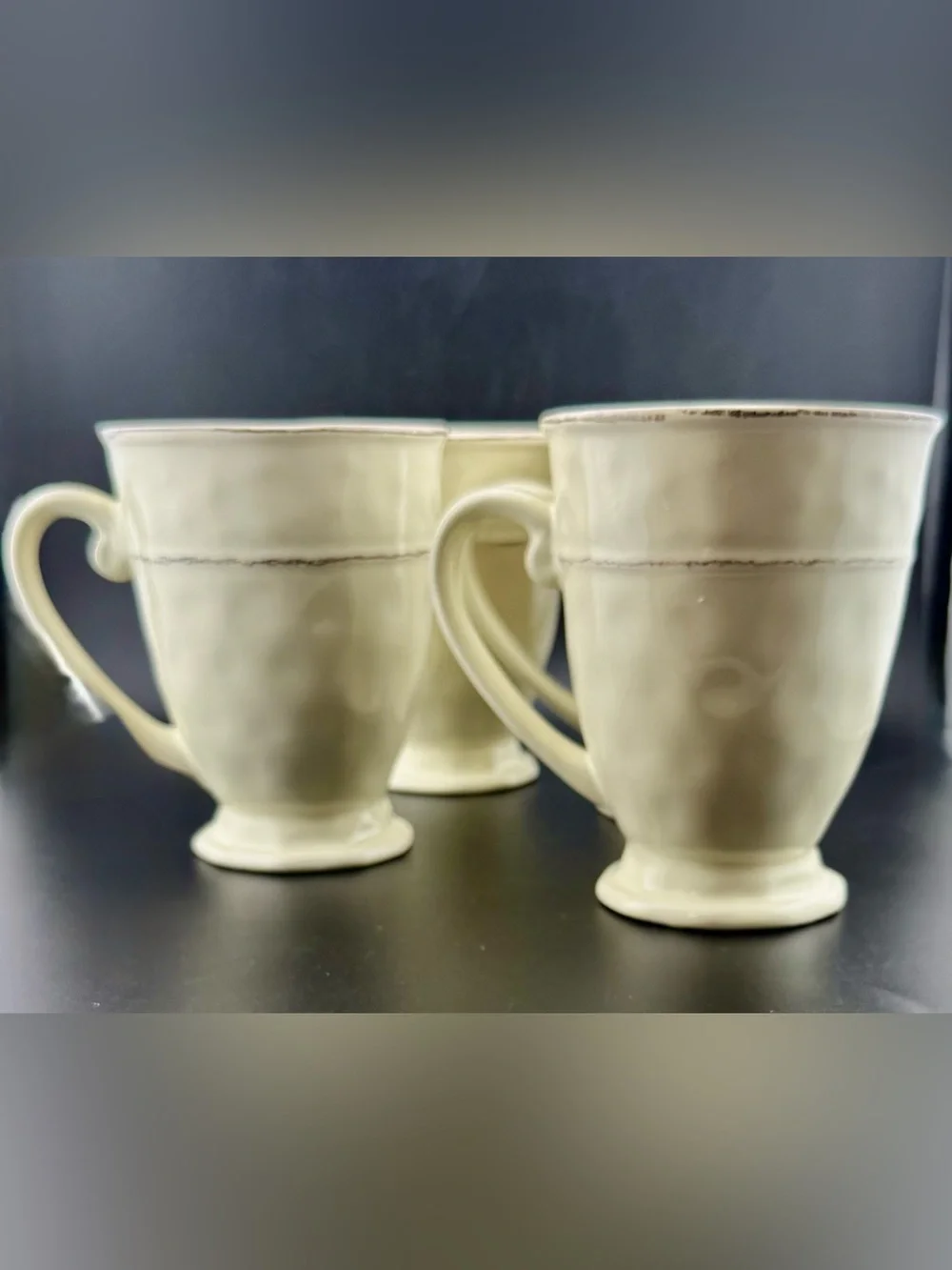 4 Pier 1 Martillo Creme Brulee 14oz Mugs.